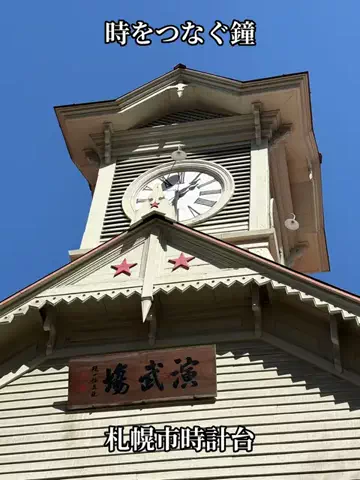 シロクマさんのTikTok投稿