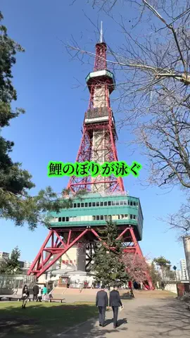 シロクマさんのTikTok投稿
