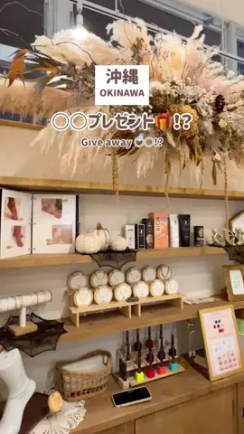 沖縄移住familyのTikTok投稿