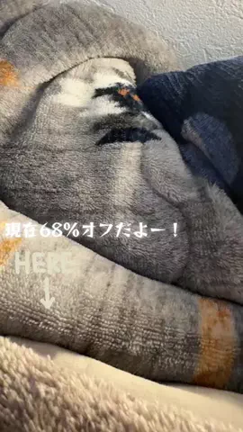 Yamany（やまにー）🗽🇺🇸のTikTok投稿