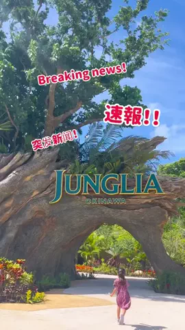 沖縄移住familyのTikTok投稿