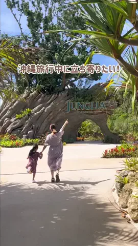 沖縄移住familyのTikTok投稿