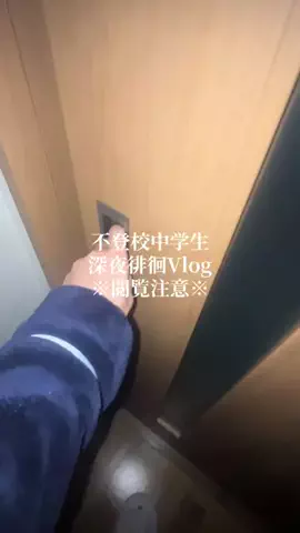 あのTikTok投稿