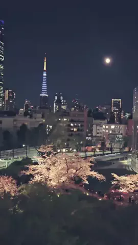 hina🦄🌹のTikTok投稿