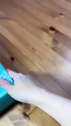 ハルとアキ🐱のTikTok投稿