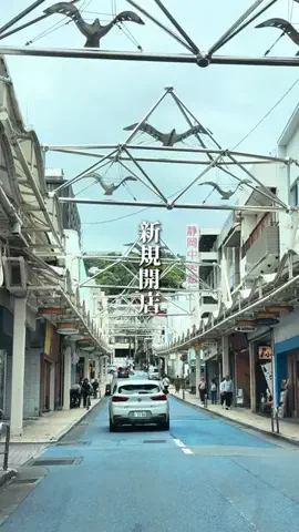 イネ🐧静岡おでかけ紹介のTikTok投稿