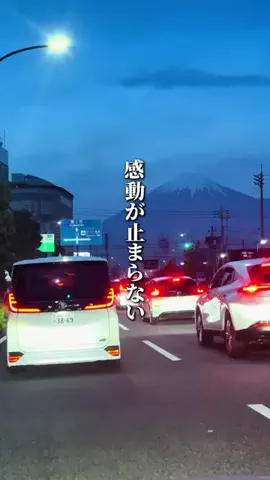 イネ🐧静岡おでかけ紹介のTikTok投稿