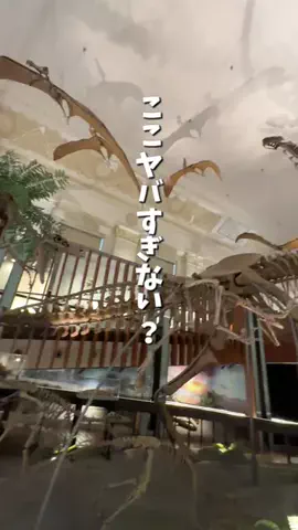 みか︴札幌ママの子連れランチ・お出かけ・ときどき旅行のTikTok投稿