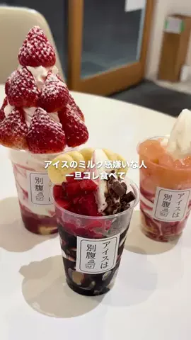 きなこのTikTok投稿