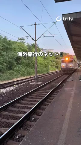 ハナのTikTok投稿
