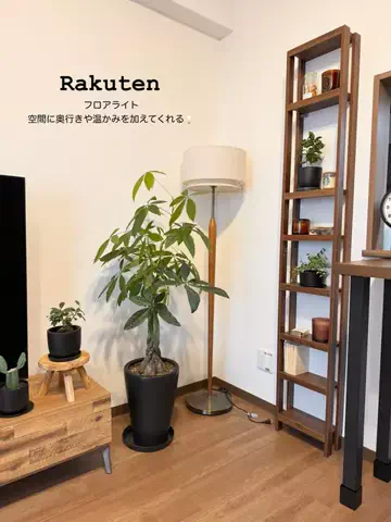 くま🐻のTikTok投稿