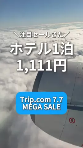 ハナのTikTok投稿
