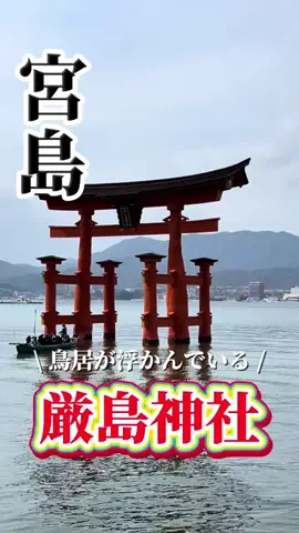 さき^._.^♡のTikTok投稿