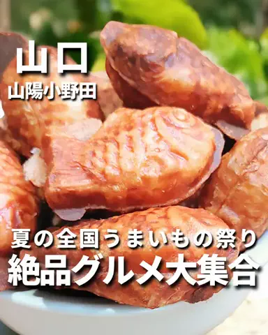わいすぽ🐡山口県“見るだけ”おでかけ攻略のTikTok投稿