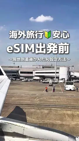 ハナのTikTok投稿