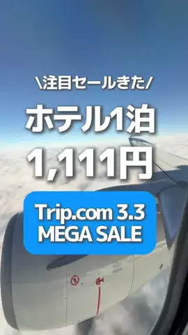 ハナのTikTok投稿