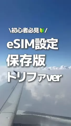 ハナのTikTok投稿