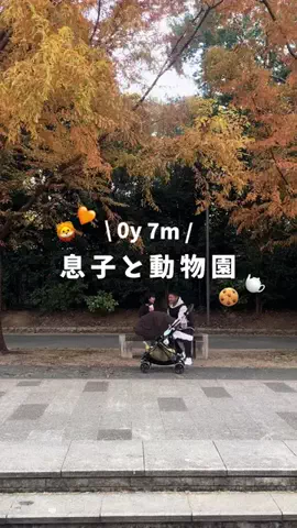 Suzu.のTikTok投稿