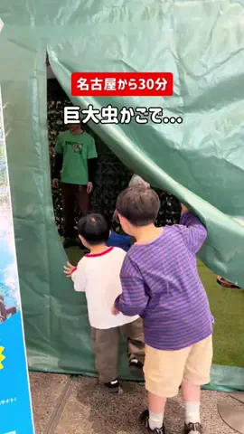 tommyが巡るおでかけのTikTok投稿