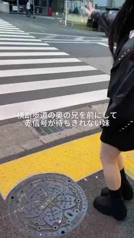 ブラコン妹が尊いのTikTok投稿