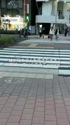 ブラコン妹が尊いのTikTok投稿