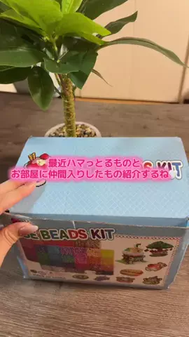 華、今日も買う。🎀のTikTok投稿