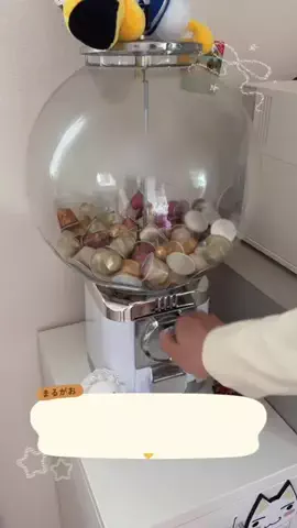 丸顔のTikTok投稿