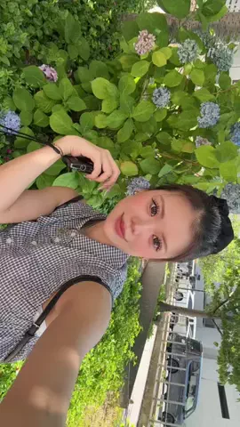 wakanaのTikTok投稿
