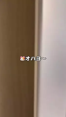 せきさくら🍒痩せvlogのTikTok投稿