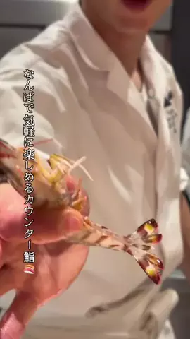 関西グルメ/グルメ 食べ飲み🍻のTikTok投稿