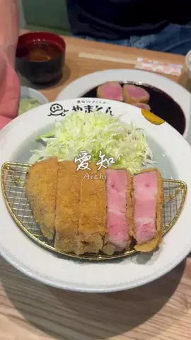 愛知グルメ探検隊のTikTok投稿