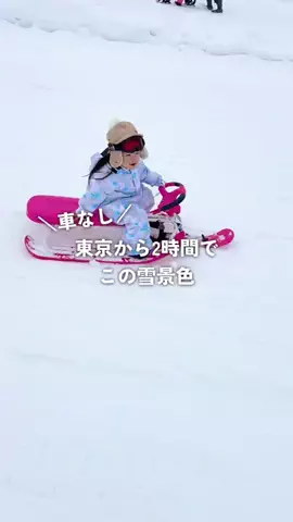 マツシマのTikTok投稿