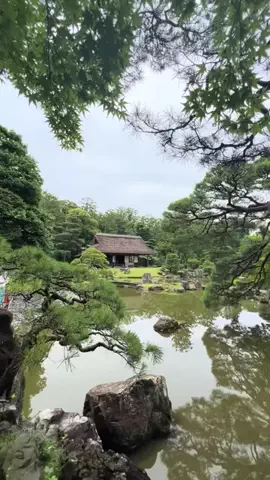 RosieeのTikTok投稿