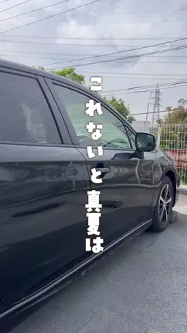 むぎらんど🐶💛のTikTok投稿
