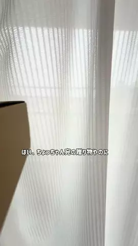 ちょっちゃん🐶🐟🍖のTikTok投稿