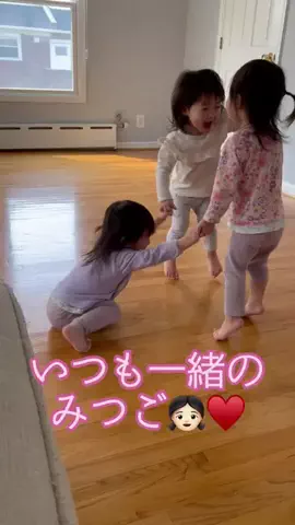 みつごのおばさんのTikTok投稿