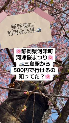 fumi📸3776🖼️のTikTok投稿