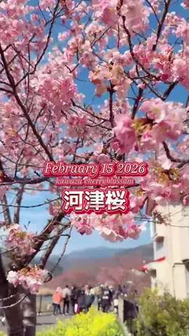 fumi📸3776🖼️のTikTok投稿