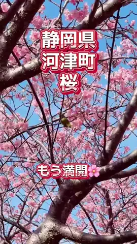 fumi📸3776🖼️のTikTok投稿
