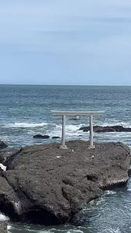 Yossie-出張と一人旅のTikTok投稿