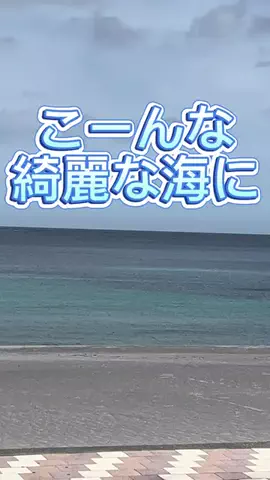 Yossie-出張と一人旅のTikTok投稿
