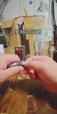 RINLAB（りんラボ）のTikTok投稿