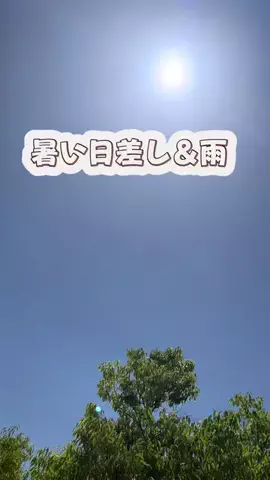 m🐶💕のTikTok投稿