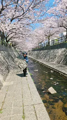 あああつしのTikTok投稿