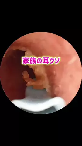 ちぴ🌿のTikTok投稿