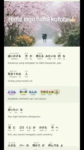 nihonshadowingのTikTok投稿
