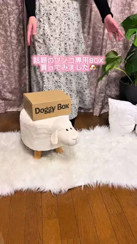 お風呂大好き_しふぉんくんのTikTok投稿