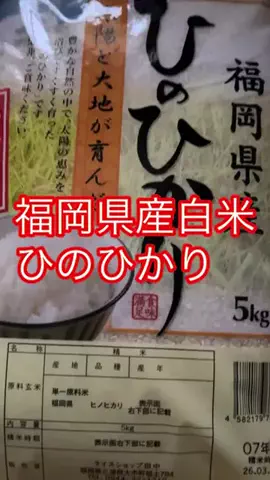 垢抜け女子risingのTikTok投稿