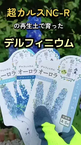 ばらちゃんのTikTok投稿