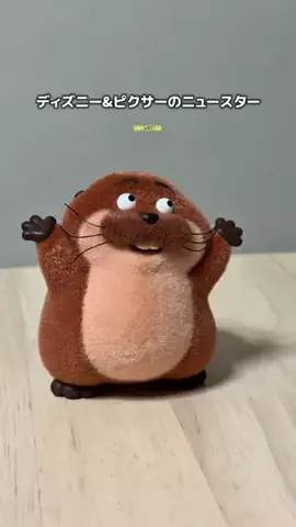 アミノ家のTikTok投稿
